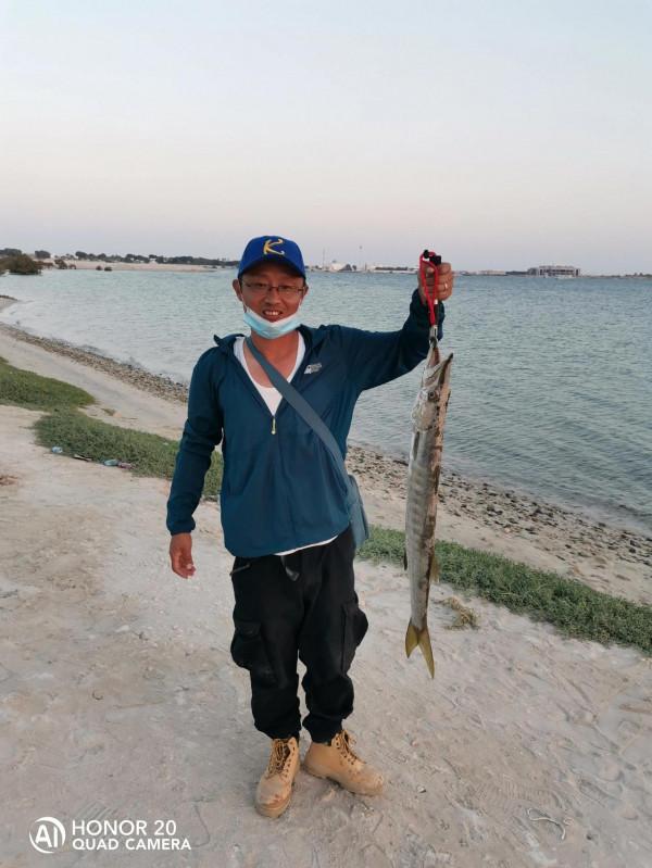 最近這些天都魚獲