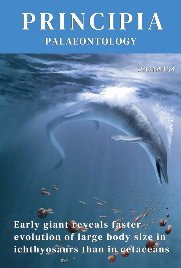 地球上最早的巨無霸