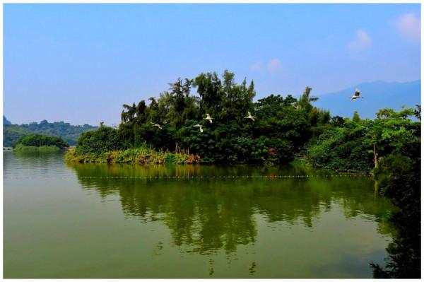 鶴舞端州迎國慶 鶴舞端州迎國慶