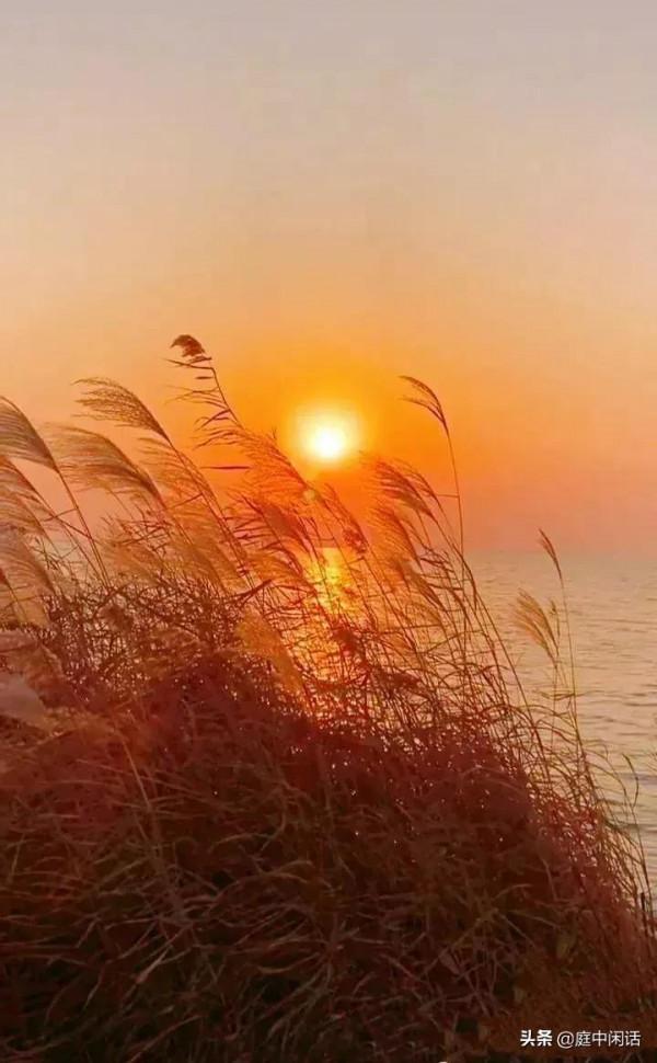 六十六初度隨想