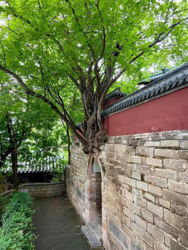 遊靈巖大佛山景區 遊靈巖大佛山景區