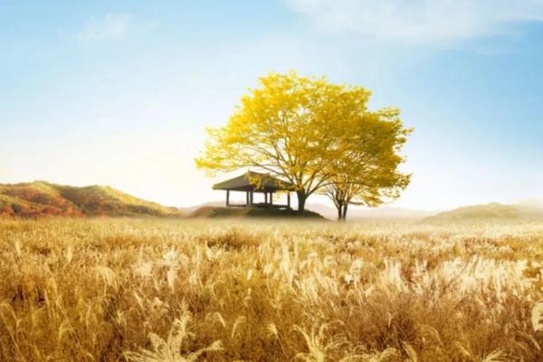 有什麼樣的思想，就會成為什麼樣的人