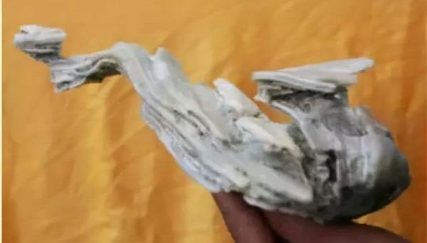 高價成交的66方奇石欣賞