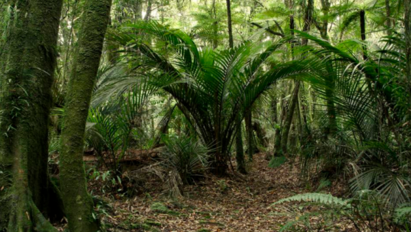 江蘇94歲失明老人因大印暴露身份,部隊派6輛坦克迎接,他究竟是誰 江蘇94歲失明老人因大印暴露身份,部隊派6輛坦克迎接,他究竟是誰