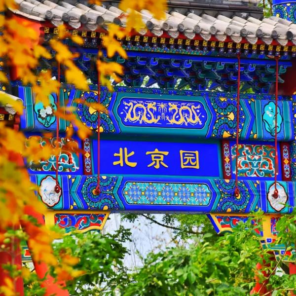 媯川秋韻（一） 精品自駕線路來襲，週末出遊不發愁～