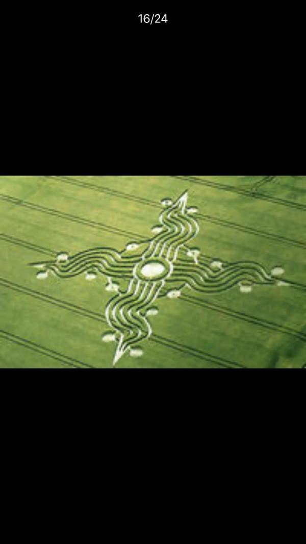 中國還沒有麥田怪圈