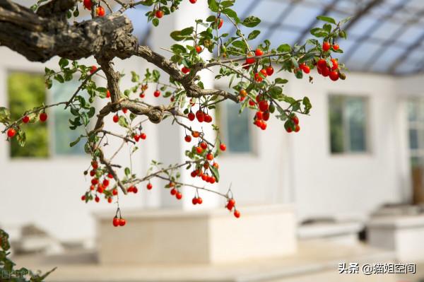 透過恆大暴雷事件，談談《道德經》中給予我們的啟發