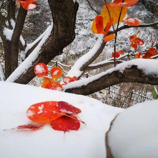 立冬之後，邀你一起看雪後的房山