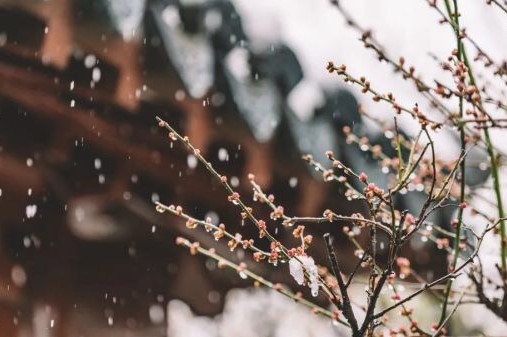 獨來獨往的人，大多是這4種情況