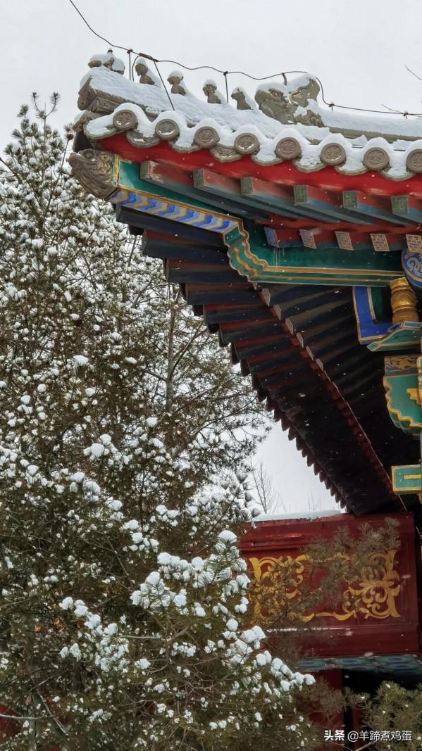 難覽觀園全畫景 雪覆臘梅一隅香&mdash;&mdash;踏雪尋遊北京大觀園