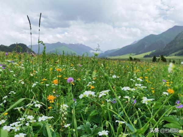 漢EV自駕新疆伊犁，風景如畫的百里畫廊，待小半個月不過分