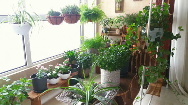 一角一落,一茶一花,讓家成為可以治癒一切的地方 一角一落,一茶一花,讓家成為可以治癒一切的地方