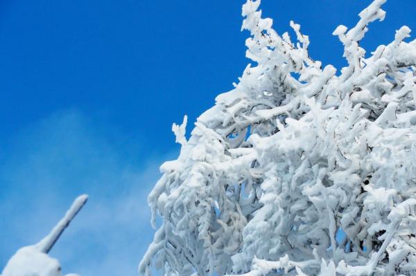 在家觀冬奧 聯想冰雪記憶