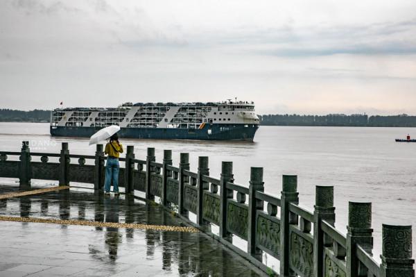 湖北荊州有一神秘寶塔，下陷7.29米，是全國僅有的“地下寶塔”