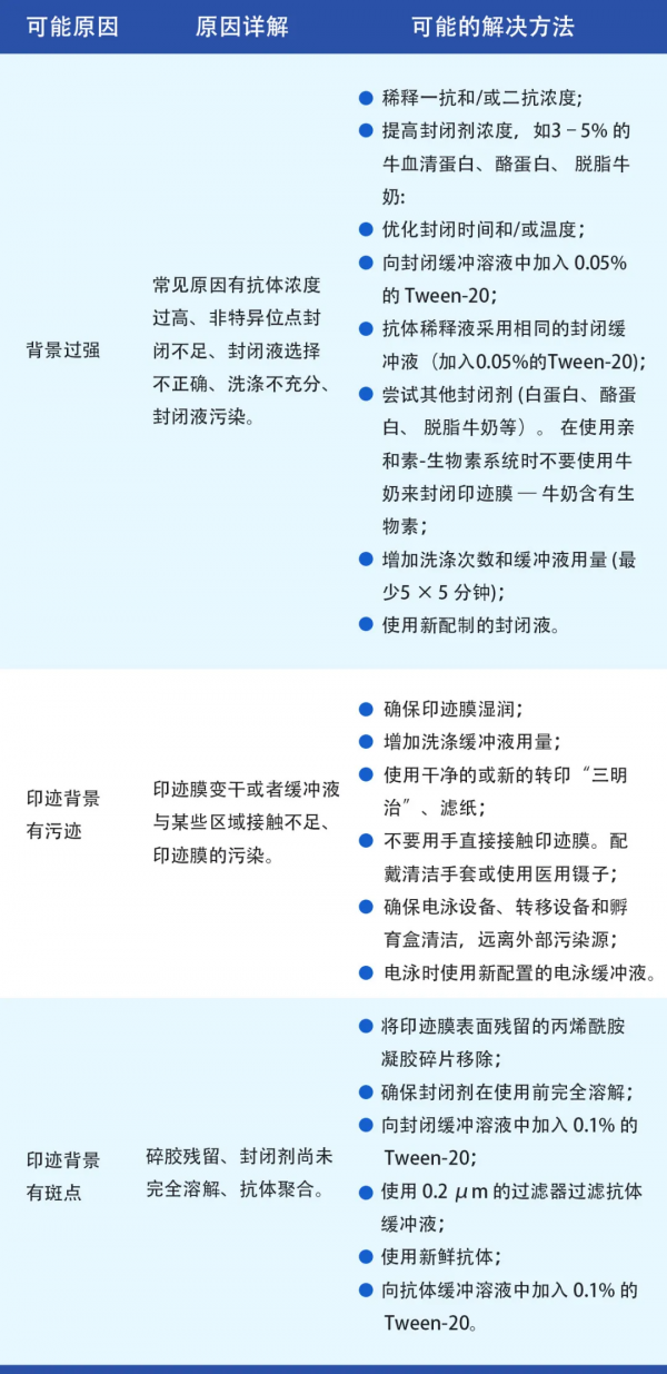 天能VE-586丨Western Blot蛋白免疫印跡常見問題