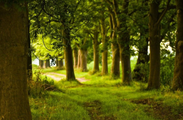 長相好看的女人，都有這些特點