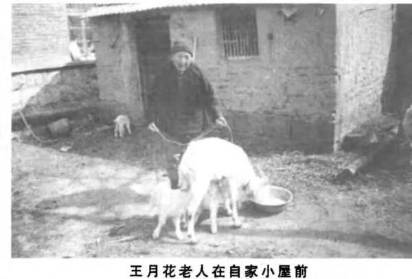 2000年，部隊找到山東一名84歲老人，對她說：您小叔子是特等功臣