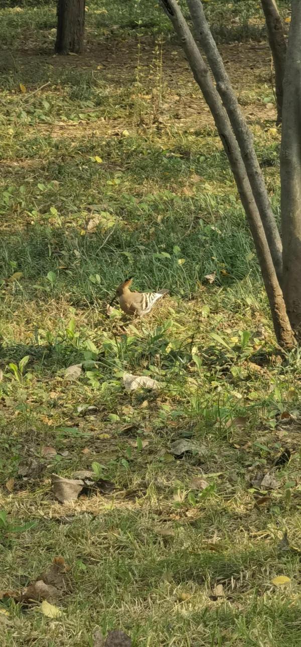 北方的秋天絢麗多彩