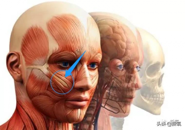 為什麼蔡少芬身上的美人感逐漸消失了? 為什麼蔡少芬身上的美人感逐漸消失了?