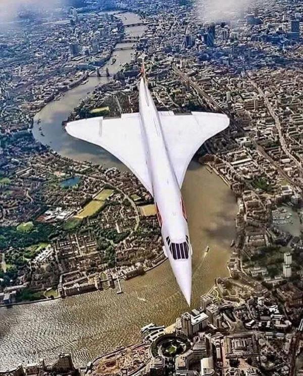 33張活久未見的照片,200 公斤重的藍鯨心臟,螞蟻腿上安裝高蹺 33張活久未見的照片,200 公斤重的藍鯨心臟,螞蟻腿上安裝高蹺