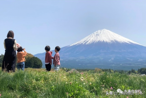 放棄永住申請了！東京的永住許可率，急速降低
