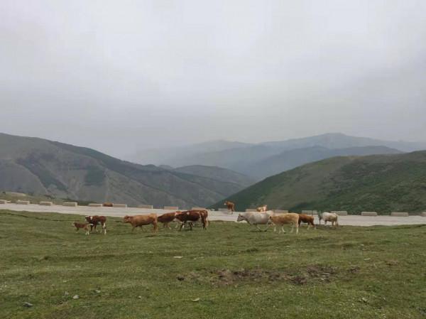 徒步五臺山，大霧中前行，風雲變幻，有計劃去的帶好裝備