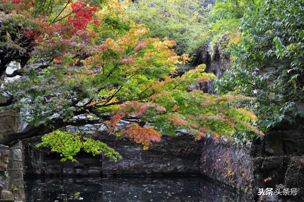 每日一詞《青門飲 寄龍人》賞析 每日一詞《青門飲 寄龍人》賞析