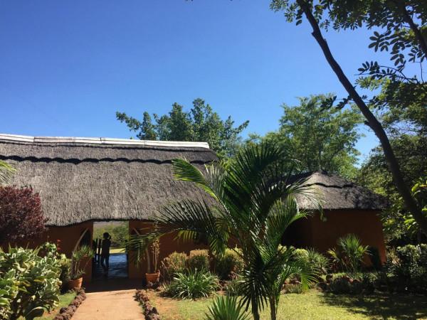 非洲尚比亞的旅居生活七 非洲尚比亞的旅居生活七