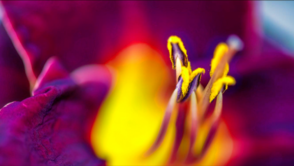 2021年8款人工智慧神器！最新漢化版，有需要就拿去