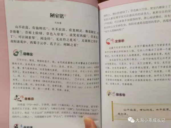 額滴個神啊!大語文“考的不學,學的不考”怎麼辦?(2) 額滴個神啊!大語文“考的不學,學的不考”怎麼辦?(2)