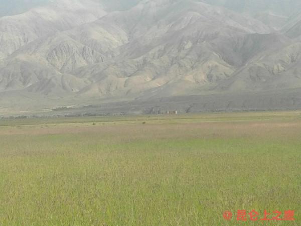 崑崙山的穿越——花石峽、冬給措納湖至香日德