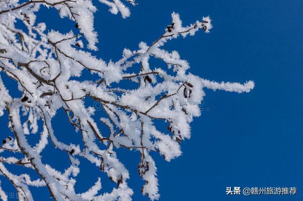 絕美！從晉朝走來的青蓮古寺，霧凇美景出現，又再次驚豔了世人