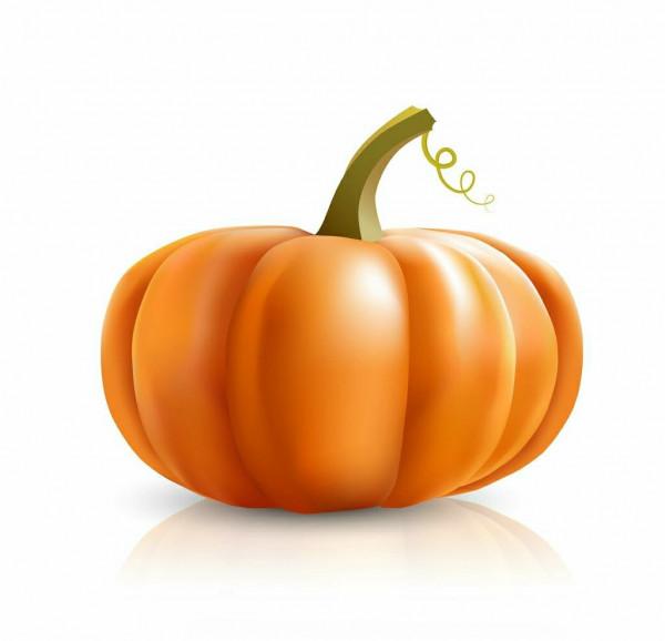 民間故事：書生娶了醜狐為妻，黑狗咬了書生的腳，書生卻開懷大笑