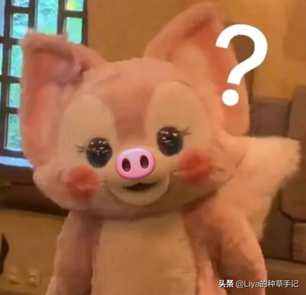 四字女頂流，憑什麼登上雜誌封面？