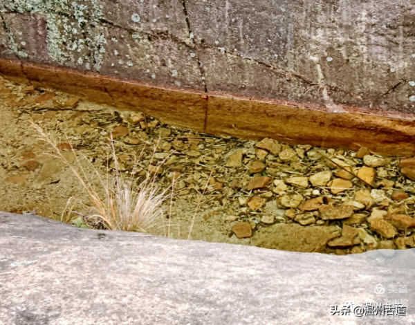 大羅山有處“二師兄”奇石，惟妙惟肖，你可找到過？