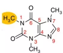 劉仲華院士續講茶與健康｜茶葉的功能性成分研究進展（完）