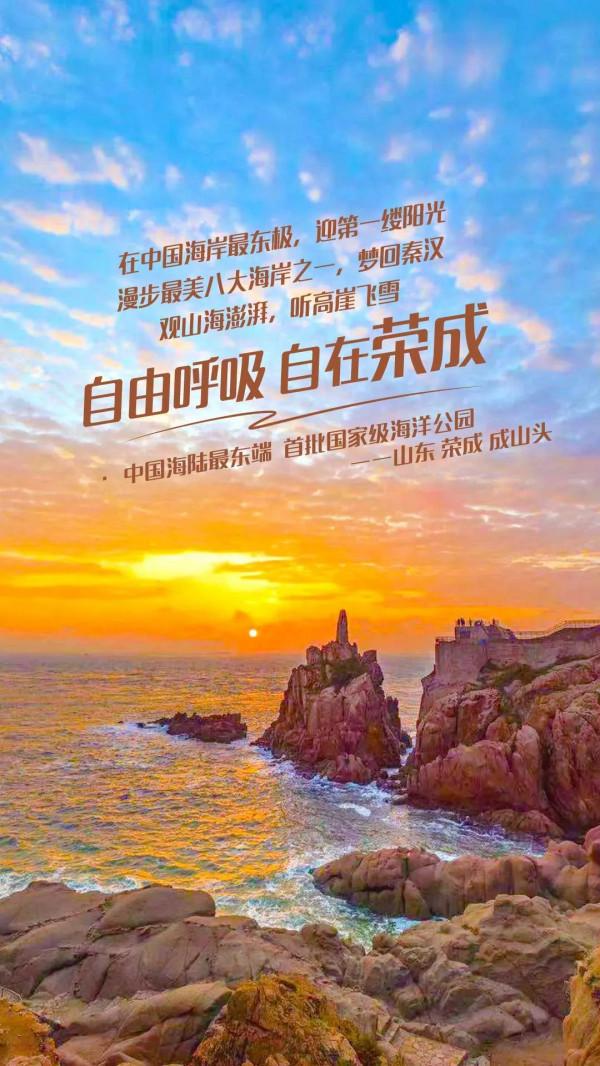 銀杏又披“金甲”，古樹迎來醉美時刻