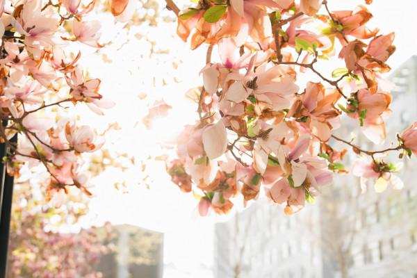 你的學識，決定了你的思想高度