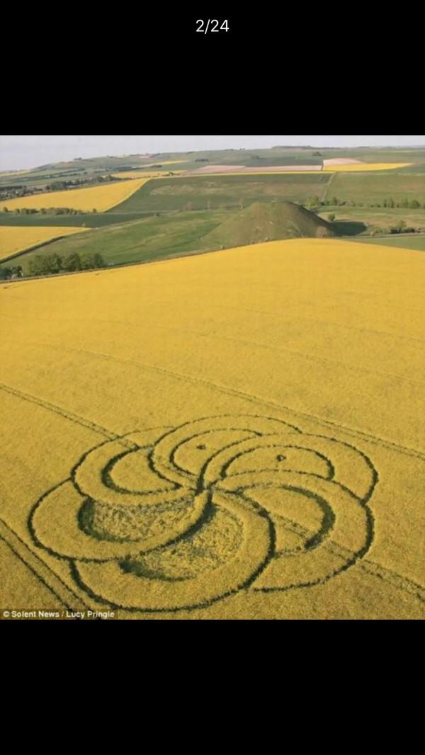 中國還沒有麥田怪圈