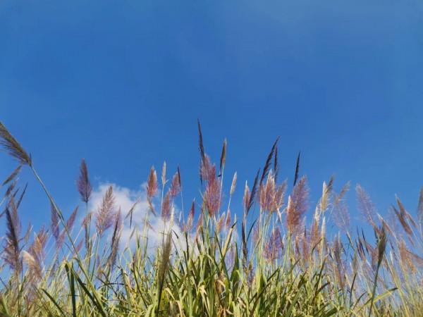 初冬暖陽下的軍屯,滿目皆絢爛 初冬暖陽下的軍屯,滿目皆絢爛