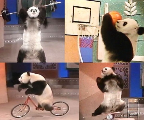 歷屆春晚經典現場，83年國寶大熊貓表演雜技，87年西遊記劇組重聚