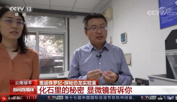 一眼穿越億萬年 重返侏羅紀｜科普：恐龍是溫血還是冷血？怎樣判斷其年齡？