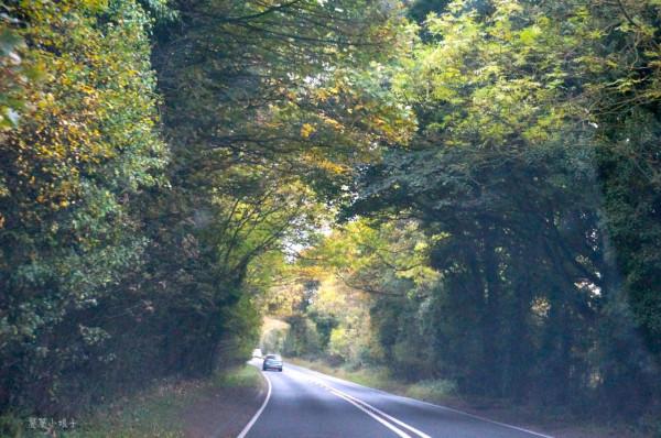 英國最美鄉村，婉約優雅，林語堂稱之理想生活，但商品都是義烏貨