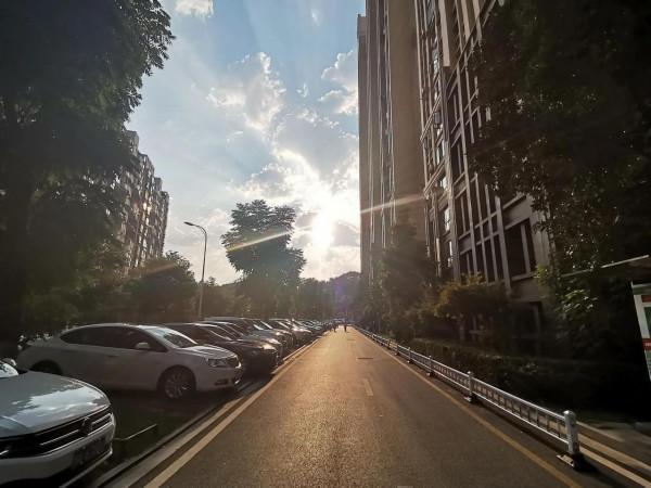 家門口的公園 家門口的公園