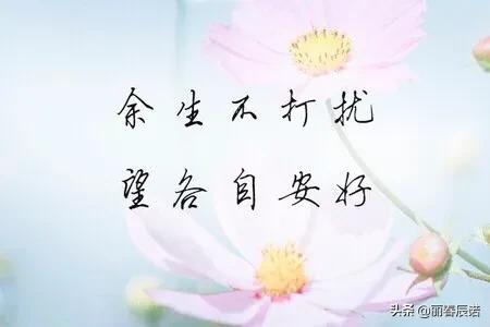 藏頭小詩／餘生安好