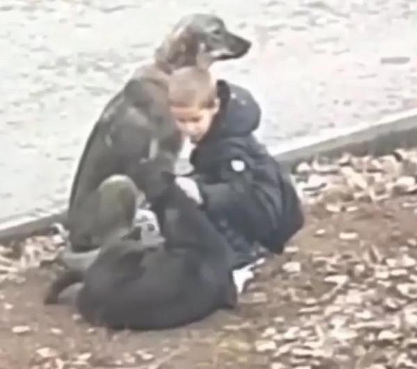 上學途中偶遇流浪狗，小男孩忽然上前給了一個“愛的抱抱”，……