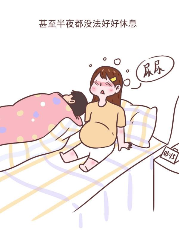 孕期漫畫 | 孕期不是在廁所就是在去廁所的路上