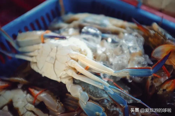 為什麼越來越多人喜歡潮汕？