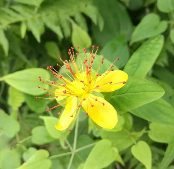 你是怎樣的人就會擁有怎樣的孩子 你是怎樣的人就會擁有怎樣的孩子