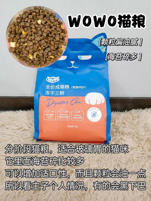 別說貓糧不會選了！保姆級教學來了
